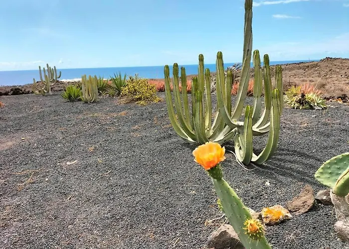 Casa de Férias Ocean - Volcano House