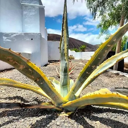 Dom wakacyjny Ocean - Volcano House Teguise (Lanzarote)