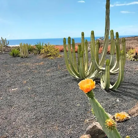 בית נופש Ocean - Volcano House