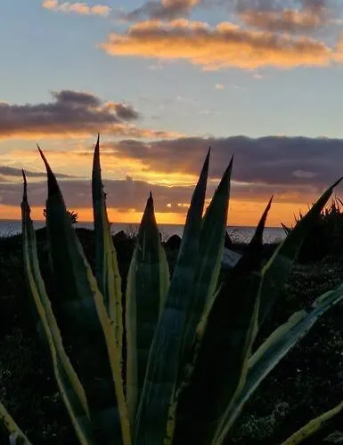 Ocean - Volcano House